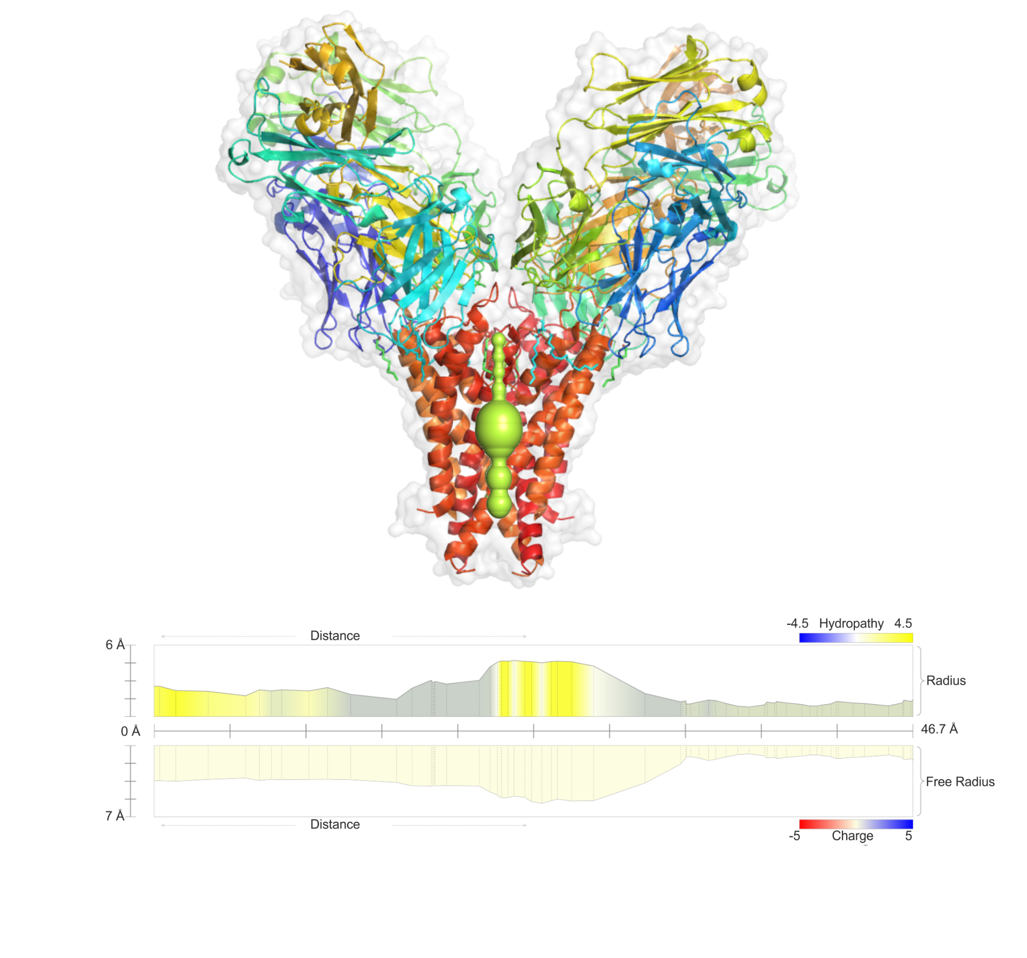 Potassium Channel KcsA-Fab (PDB ID: 1K4C)